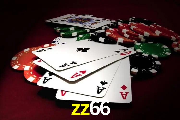 Experiência VIP zz66
